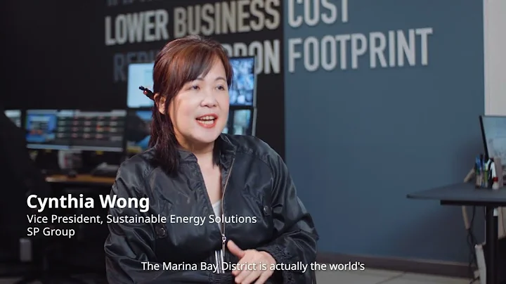 IKEA for Business: Improving the everyday in sustainability innovation