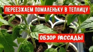 #760ПЕРЕЕЗЖАЕМ ПОМАЛЕНЬКУ В ТЕПЛИЦУ/ОБЗОР РАССАДЫ НА 13 МАРТА#купилидомнаюге#жизньнакубани#свойдом