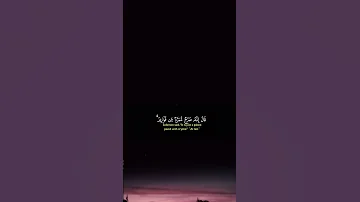 استغفر الله العظيم الذي لا إله إلا هو الحي القيوم وأتوب إليه 