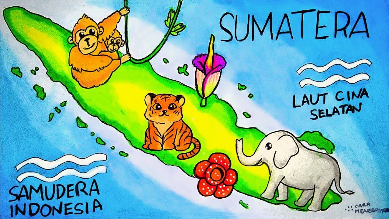 Cara Menggambar Membuat PETA PERSEBARAN FLORA DAN FAUNA LANGKA DI SUMATERA INDONESIA Ep 215 YouTube