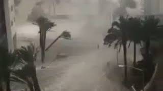 Scary Miami flooding Howling Wind Hurricane Irma