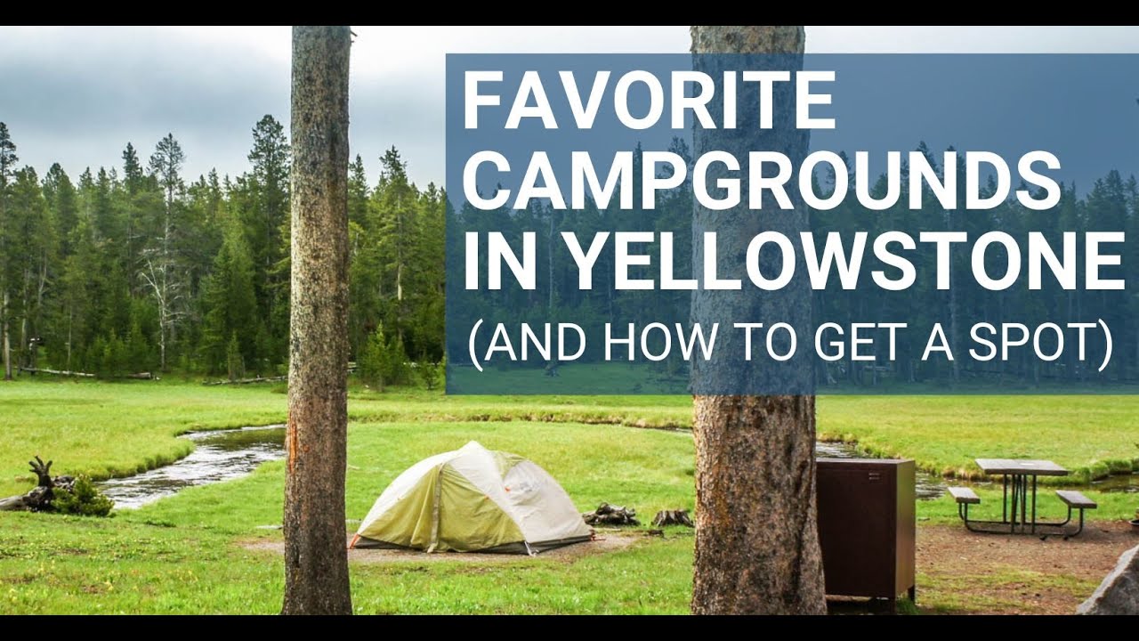 camping trip yellowstone