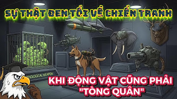 Những Vũ Khí "Sống" Điên Rồ Nhất Trong Chiến Tranh Mà Bạn Không Tin Có Thật
