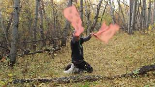 Flow Flags in the Forest 2
