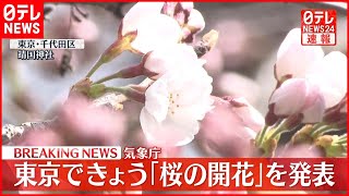 【速報】気象庁　東京できょう｢桜の開花｣を発表