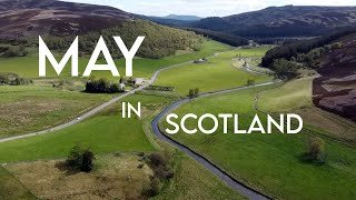 May in Scotland VLOG - Highland Games, Cairngorms, lambs, gardens