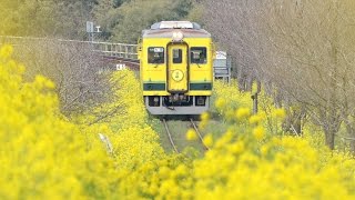 view 千葉・いすみ鉄道　運ぶのは夢とあこがれ