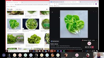 Google Docs Vocabulary Training