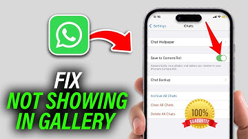 3 Ways: WhatsApp Images Videos and Documents Not Showing in Gallery iphone [ 100% Solved ]