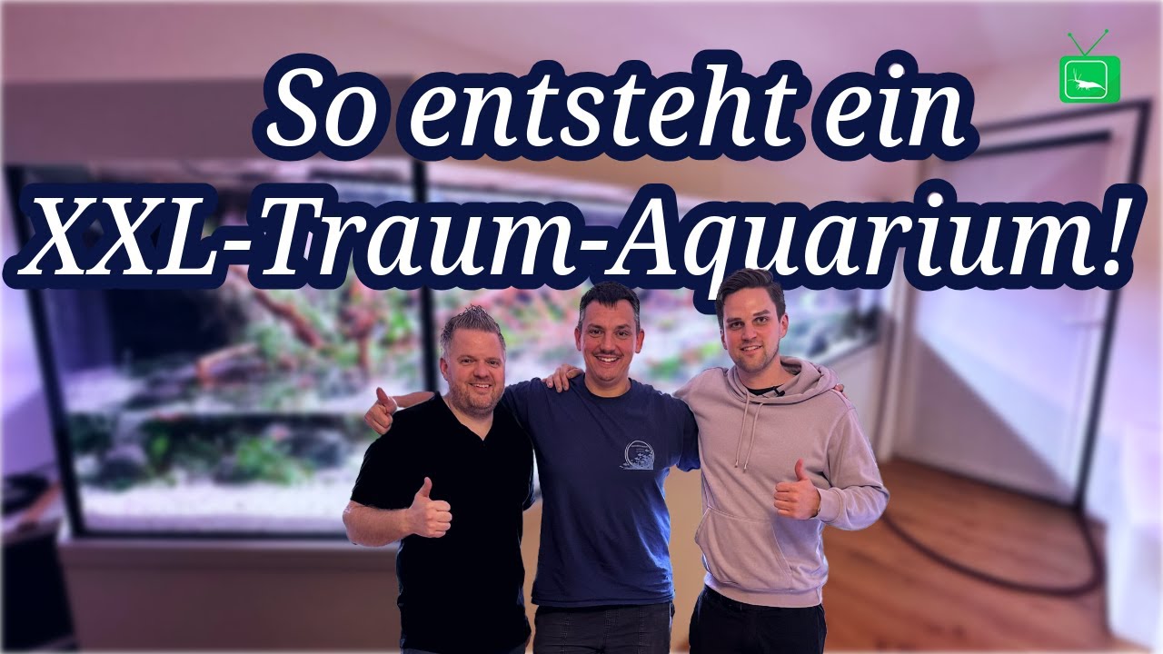 Das größte Aquascape-Projekt: 4500L Aquarium entsteht! | GarnelenTv