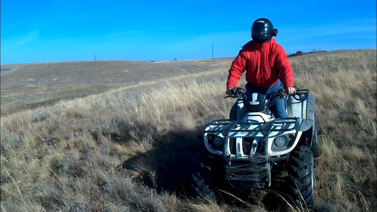 Багги стелс 500