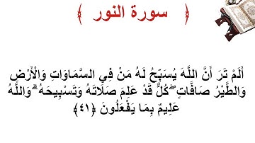 سورة النور الأية 41