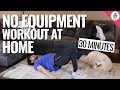 Full Body AT HOME Workout With NO EQUIPMENT