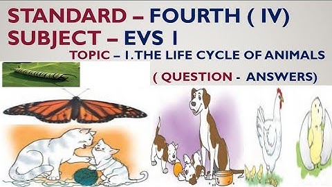 The life cycle of animals Question Answers || The life cycle of animals  std 4 #question #answers