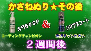 コーティング剤 重ね塗りテスト２週間後 バリアスコート＆キラサクGP 光沢計測