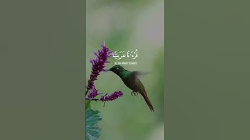 إِنَّا أَنزَلْنَاهُ قُرْآنًا عَرَبِيًّا لَّعَلَّكُمْ تَعْقِلُونَ سورة يوسف الشيخ المنشاوي