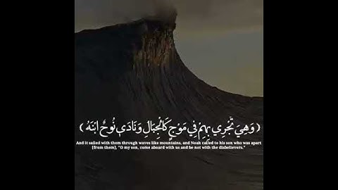 آيه قرآنيه من سورة (هود) القارئ (إسلام صبحي.)