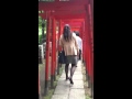 Tonteando en el Nezu shrine