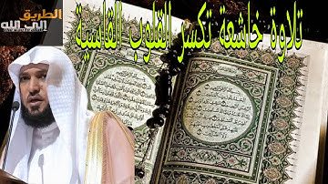 أفضل ماقدم الشيخ ماهر المعيقلي سورة البقرة بتلاوة تفوق الخيال