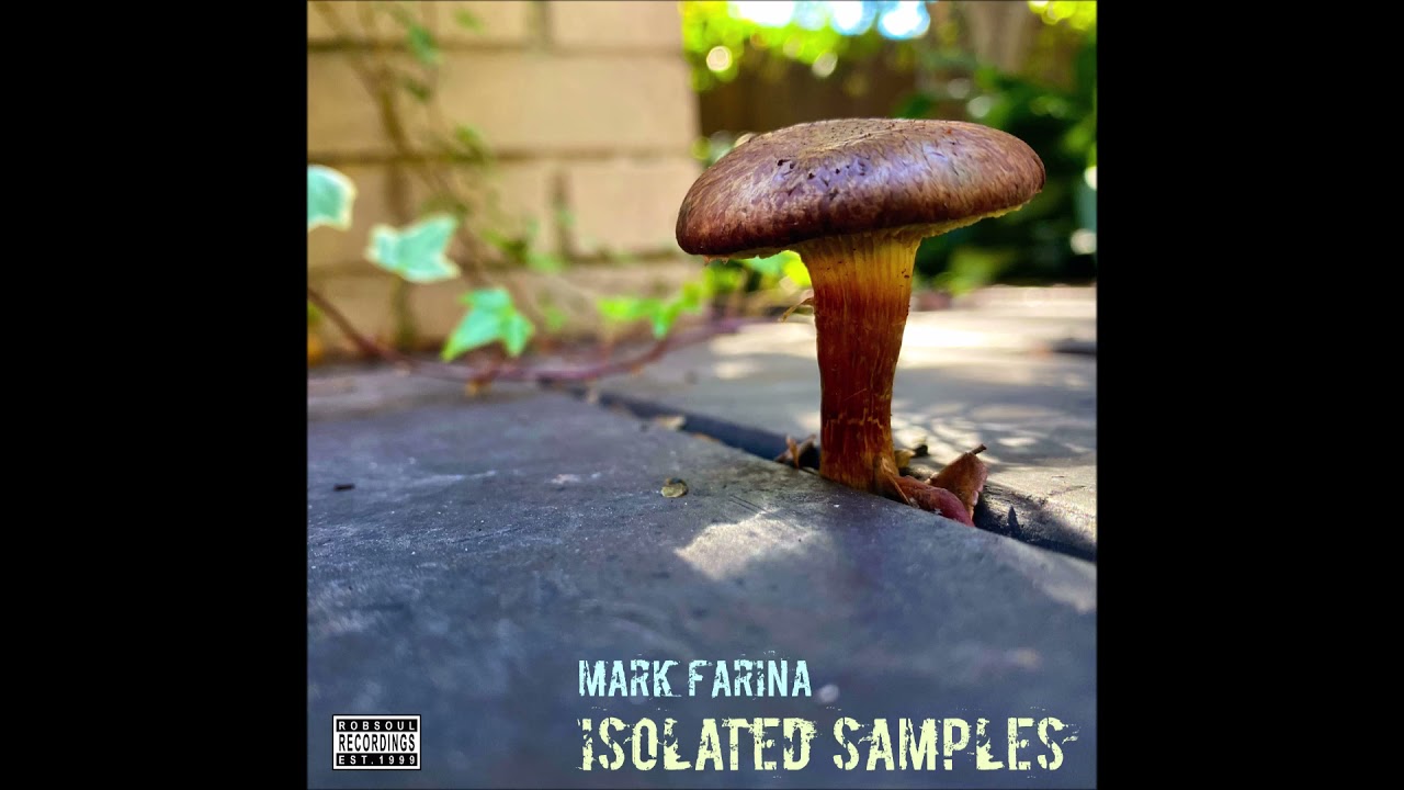 Guarda Mark Farina - Isolated Samples LP - Big Sexy Shuffle (Robsoul) su YouTube Guarda Mark Farina - Isolated Samples LP - Big Sexy Shuffle (Robsoul) su YouTube