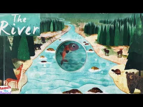 THE RIVER: An Epic Journey to the Sea by Hanako Clulo | Kids Story Read Aloud