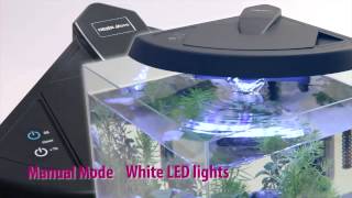 Newa More, the new aquarium "all in one"