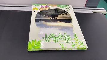 ST015D digital case in machine | Casing-in machine