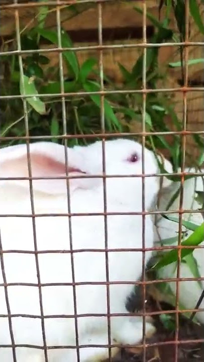 subscribe our channel 👇👇