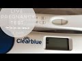 LIVE PREGNANCY TEST | 12dpo