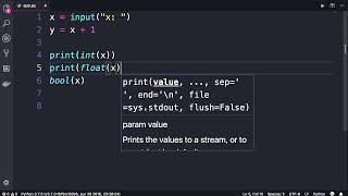 Celebrity Python #23 - Type Conversion [By Mosh Hamedani] Profile