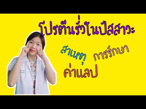 ภาวะโปรตีนรั่วในปัสสาวะ|ไตวายเรื้อรัง|พี่กานต์ healthy channel