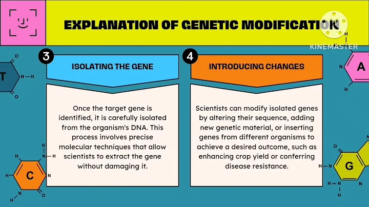 The Genetic Revolution: The Manipulation of Human DNA