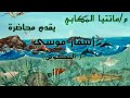 أسفار موسى الخمس 34