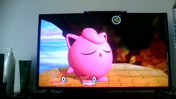 Super Smash Bros. Brawl: All Characters Dizzy Animations