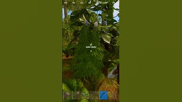 New Rust update made cloth way too easy to find 🌱 #rust #gaming