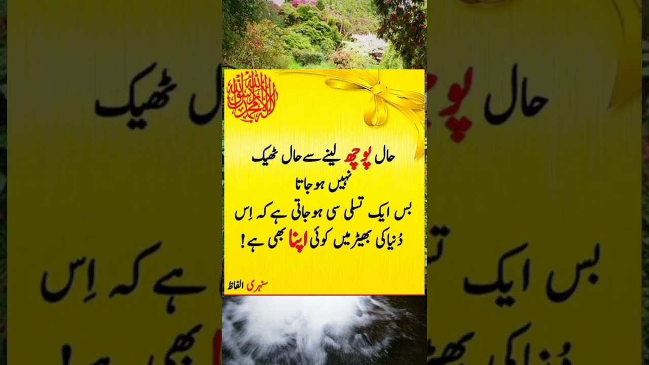 Islamic Quotes | Urdu Quotes | Shorts Video | Viral | Trending Shorts | Viral Shorts | Faizi Speech