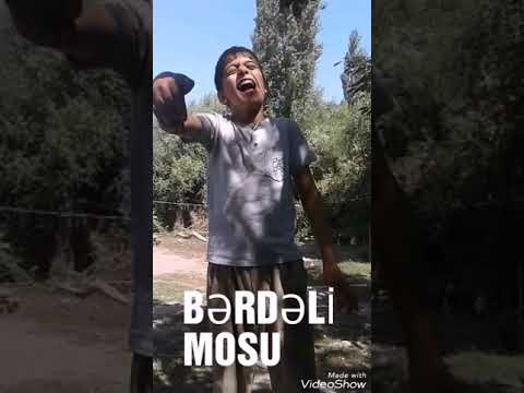 Bərdəli mosu pirkol