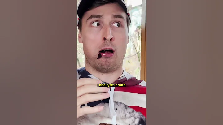 What Europeans think Americans are like