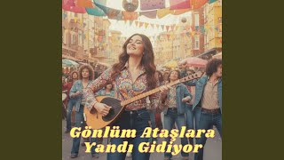 Gönlüm Ataşlara Yandı Gidiyor