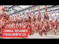 China reabre três frigoríficos brasileiros de carne bovina | TEMPO REAL