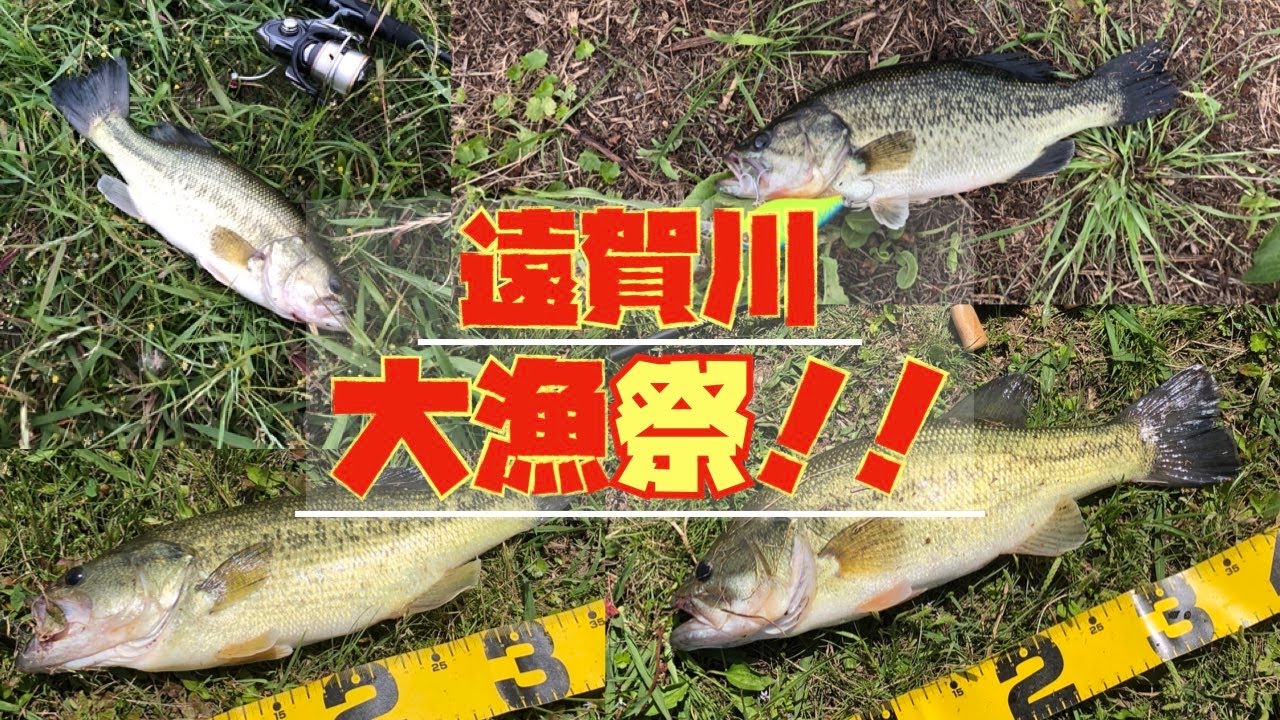 激シブ&激ニゴリの遠賀川でまさかの連発！？ 【九州 バス釣り】
