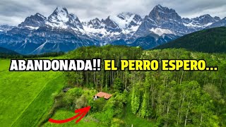 Thumbnail image for ¿Realmente Abandonaron la casa y dejaron al perro dentro?