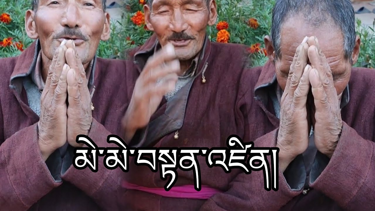 མེ་མེ་བསྟན་འཛིན་གྱི་སེམས་ཀྱི་ཚོར་བ།