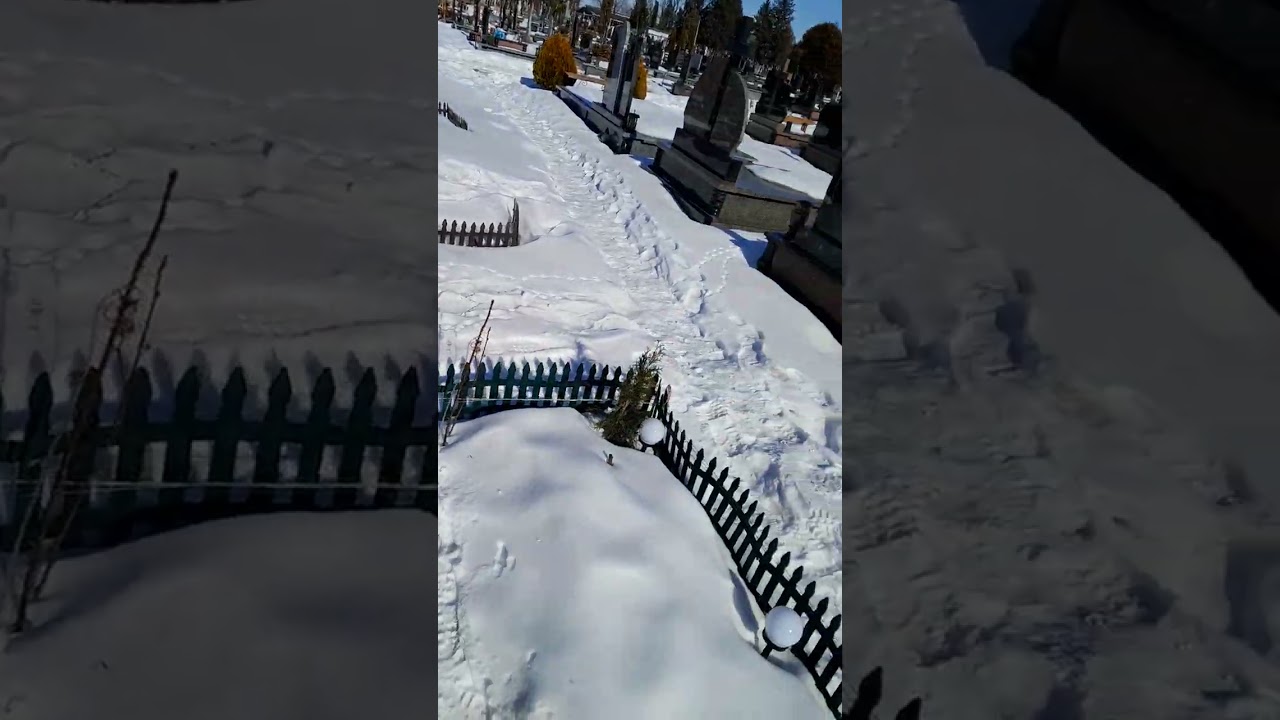 21.02.26 до батьків на цвинтар