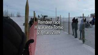 Reinder Race 2009 HaparandaTornio
