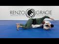 Deep Half Guard Basics and Sweeps and Wrestle Ups by Greg Hamilton BJJ