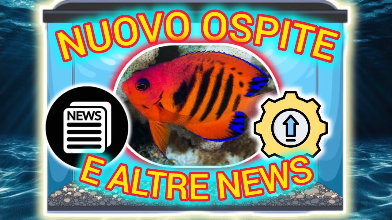ALTRO AGGIORNAMENTO VASCA E ANCHE UN'ALTRO NUOVO ABITANTE🐠