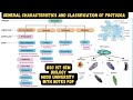 General characteristics and classification of protozoa. | Bsc biology 1st semester mgsu university.
