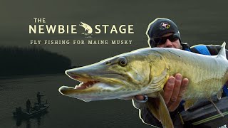 Fly Fishing for Maine Musky  The Newbie Stage