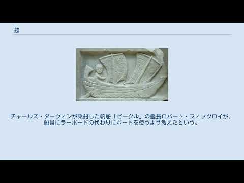 舷 Youtube